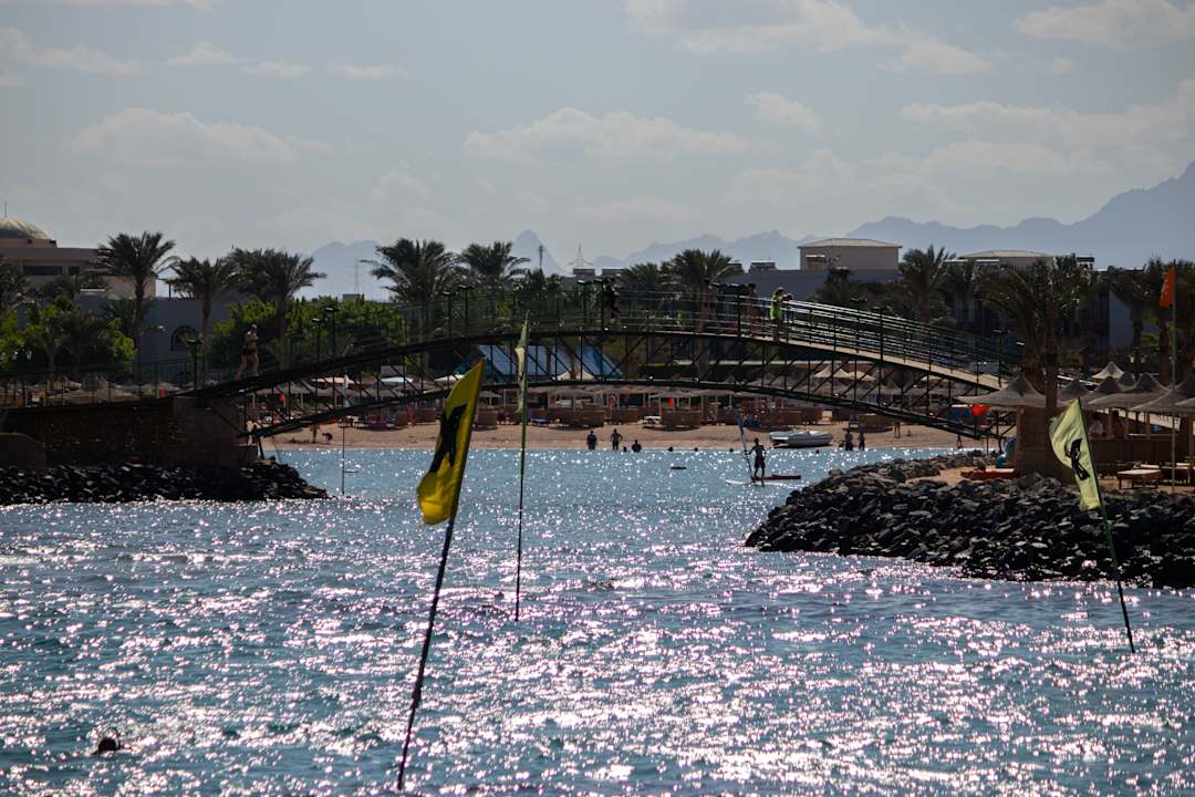 Ausblick Desert Rose