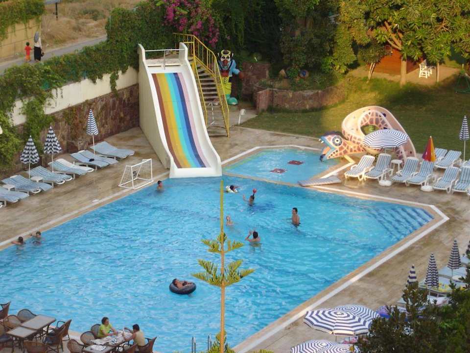 Pool und Garten. Hotel Elysee Garden