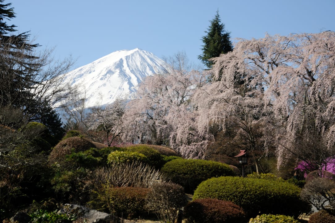 Außenansicht Fuji View Hotel