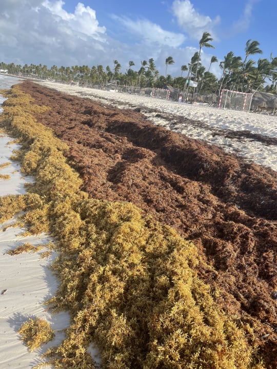 Strand Caribe Deluxe Princess