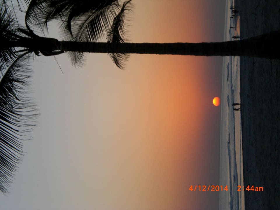 Täglicher Sundowner Salalah Rotana Resort