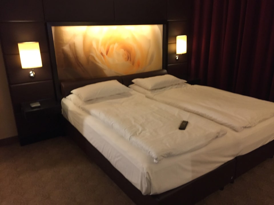 Zimmer Lindner Hotel Vienna Am Belvedere, part of JdV by Hyatt