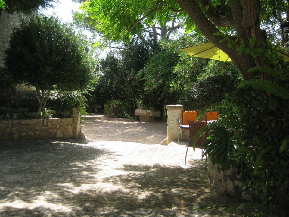 Schattiges Plätzchen für hausgemachte Sangria Finca Agroturismo Ses Cases de Sabor