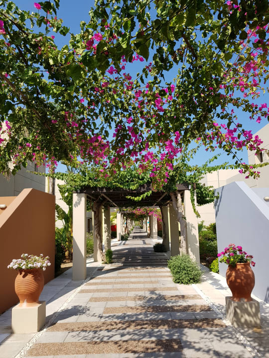Sonstiges Astir Odysseus Kos Resort & Spa