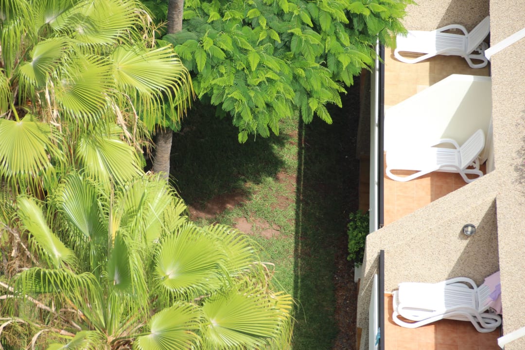 Hôtel H10 Las Palmeras - La Bungalo 2015 H10 Las Palmeras