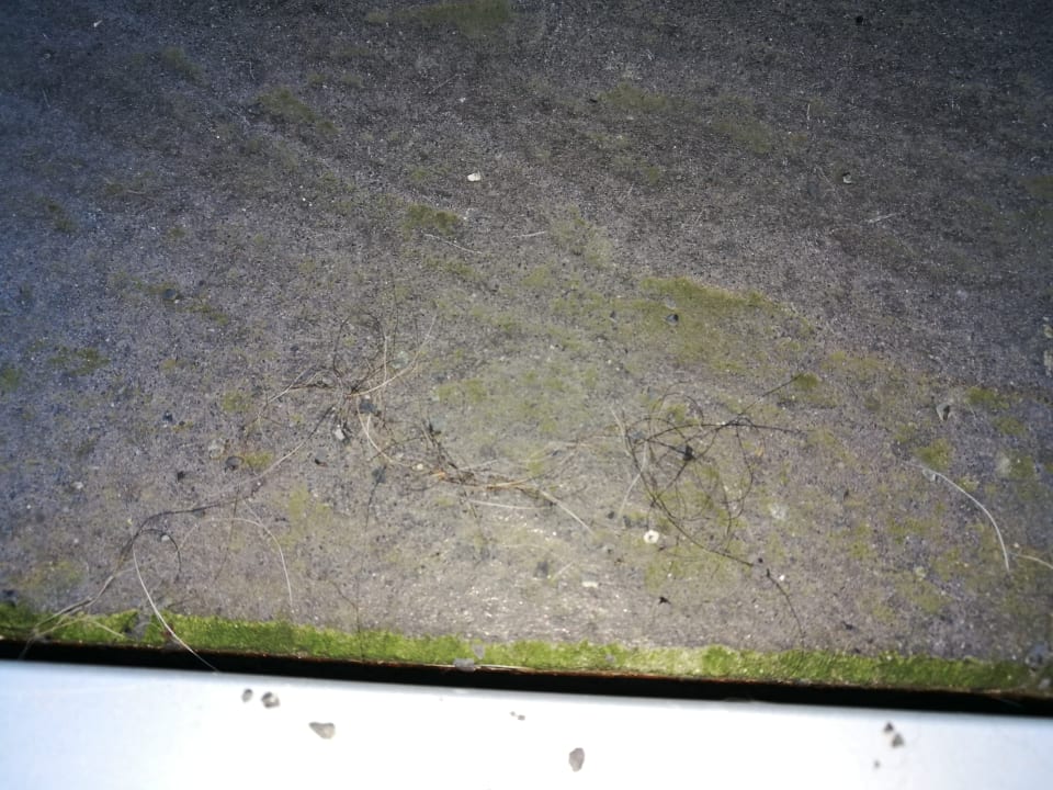 Zimmer Elbstrand Resort