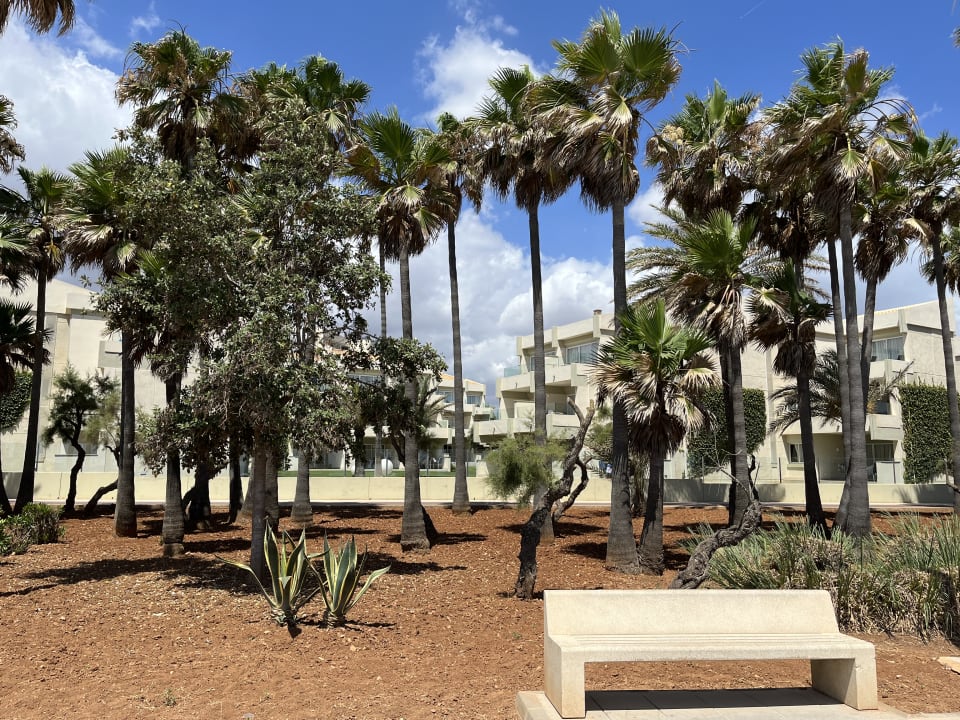 Sonstiges Hipotels Mediterraneo Club