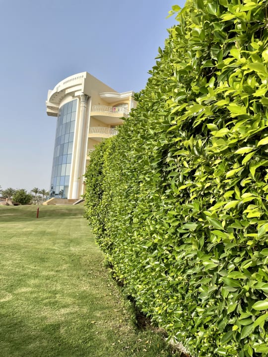 Gartenanlage Palm Royale Resort - Soma Bay