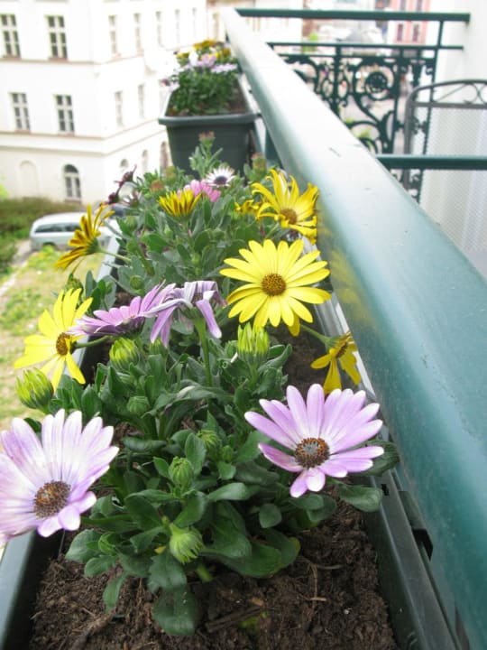 Балкон Hotel Ontario