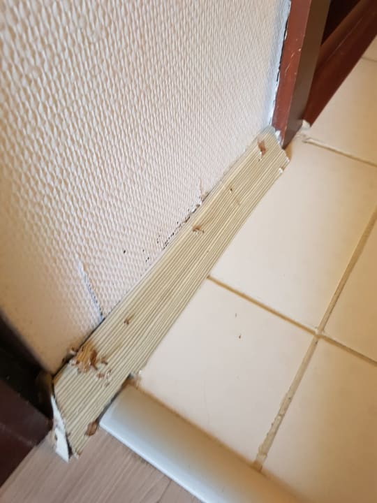 Zimmer Belek Beach Resort Hotel