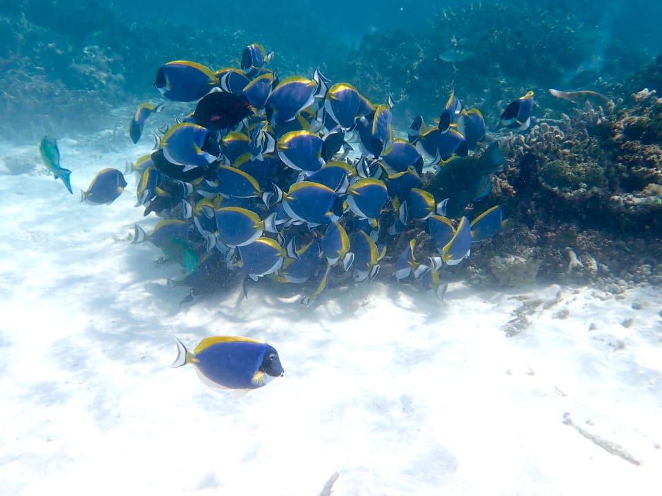 Sport & Freizeit Thulhagiri Island Resort