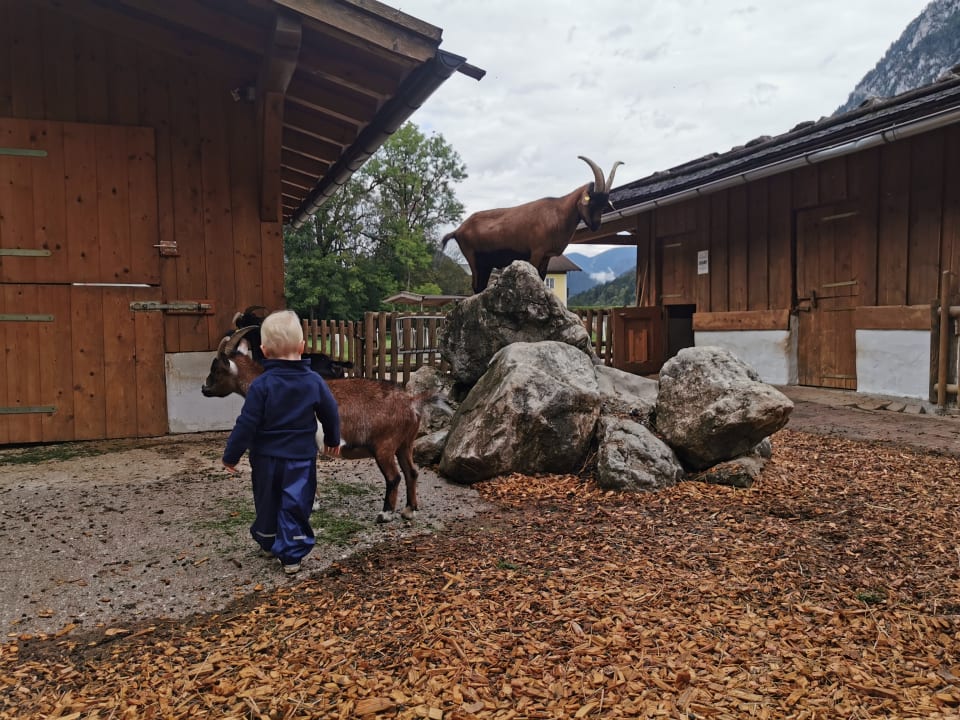 Sonstiges POST Family Resort