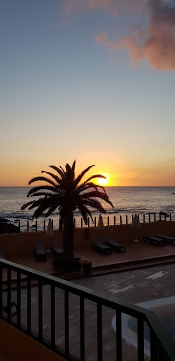 Ausblick Apartments Las Tres Palmeras