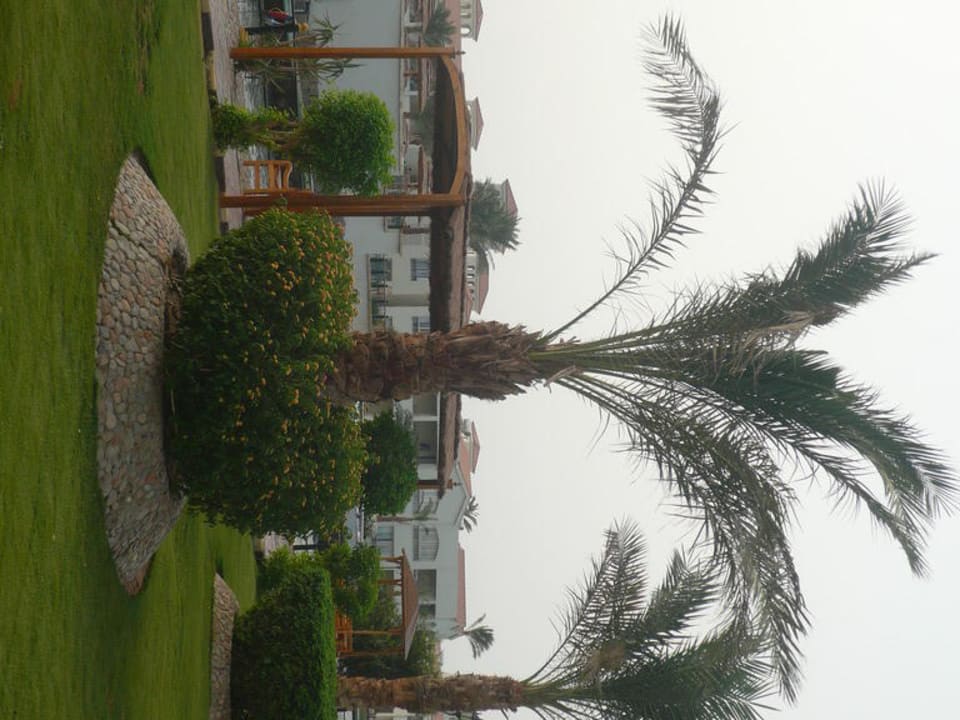 Palme Pickalbatros Dana Beach Resort - Hurghada