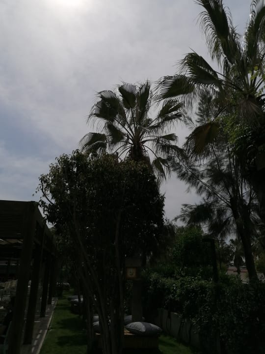 Außenansicht Sentido Trendy Verbena Beach