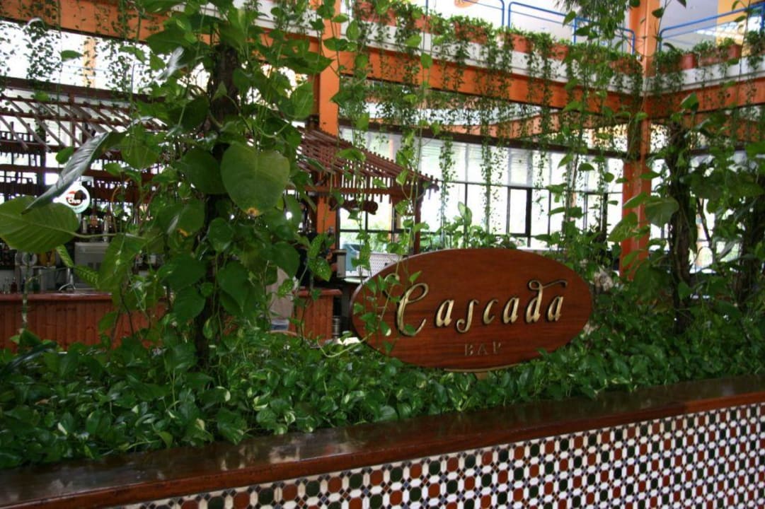 Cascada Bar Hotel Puntarena Playa Caleta