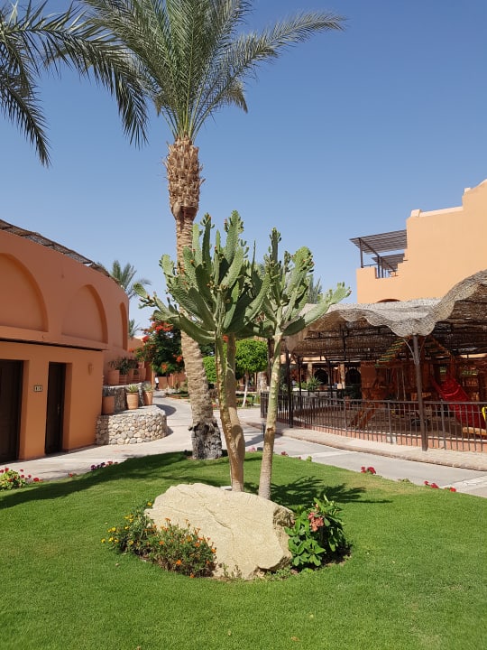 Gartenanlage Jaz Makadi Oasis Resort