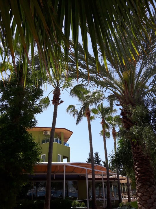 Außenansicht Lonicera Resort & Spa Hotel