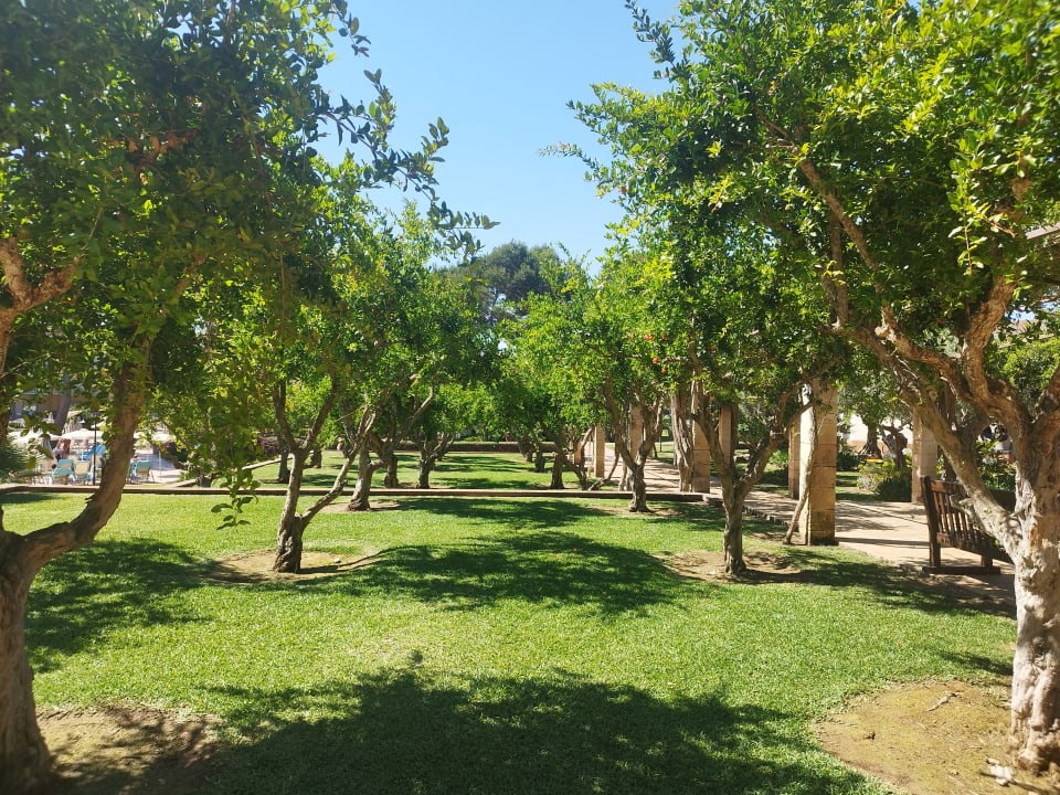 Gartenanlage Zafiro Mallorca