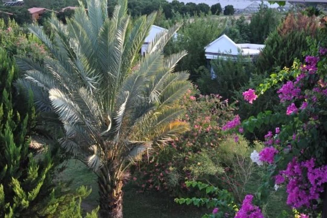 Hotel Garten Hotel Anatolia Resort