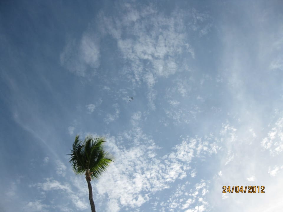 Blick in den Himmel Punta Cana Princess All Suites Resort & Spa