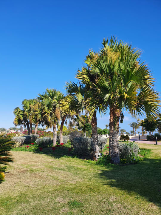 Gartenanlage Cleopatra Luxury Resort Makadi Bay
