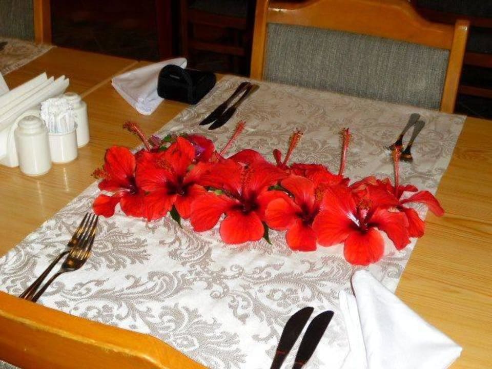 Der letzte Abend Hotel Defne Garden