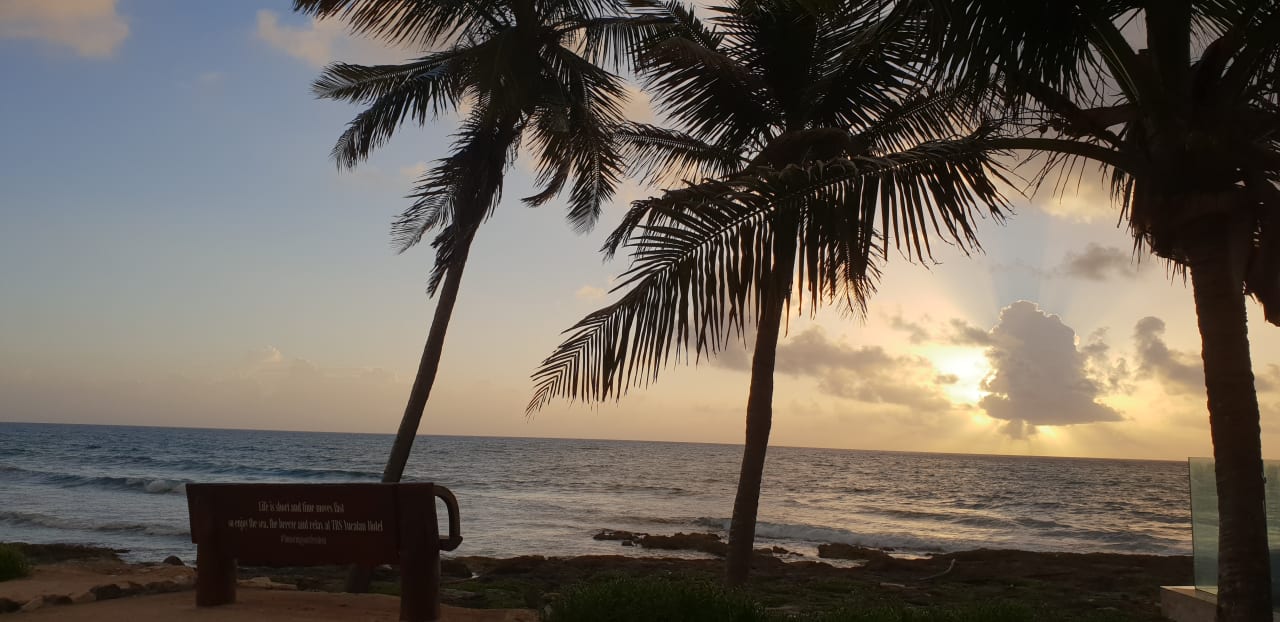 Ausblick TRS Yucatan Hotel - Adults only