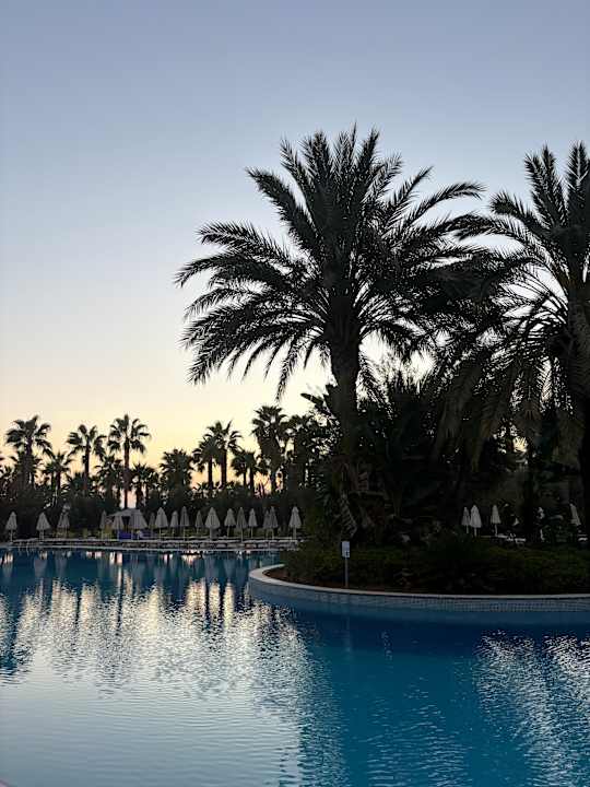 Pool Seaden Sea World Resort & Spa