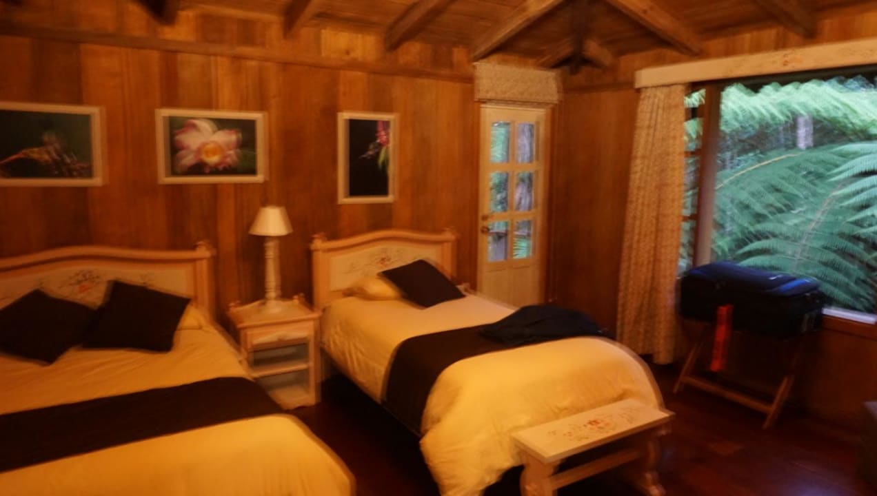 Zimmer Hotel Sachatamia Lodge