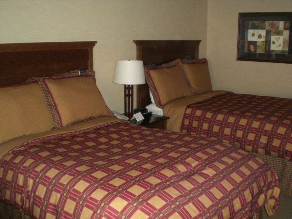 Zimmer Hotel Tenaya Lodge at Yosemite