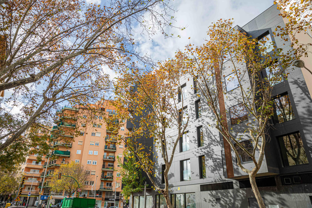 Außenansicht JS Palma Plaza