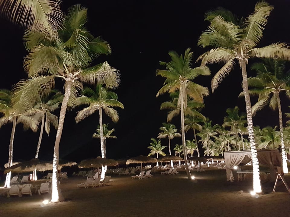 Strand Salalah Rotana Resort