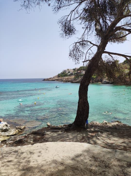 Strand Iberostar Waves Pinos Park