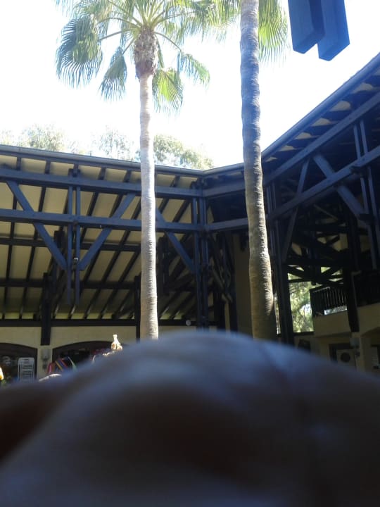Palme im Eingang Melas Holiday Village