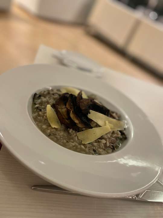 Gastro Palmares Beach House Hotel - Adults Only