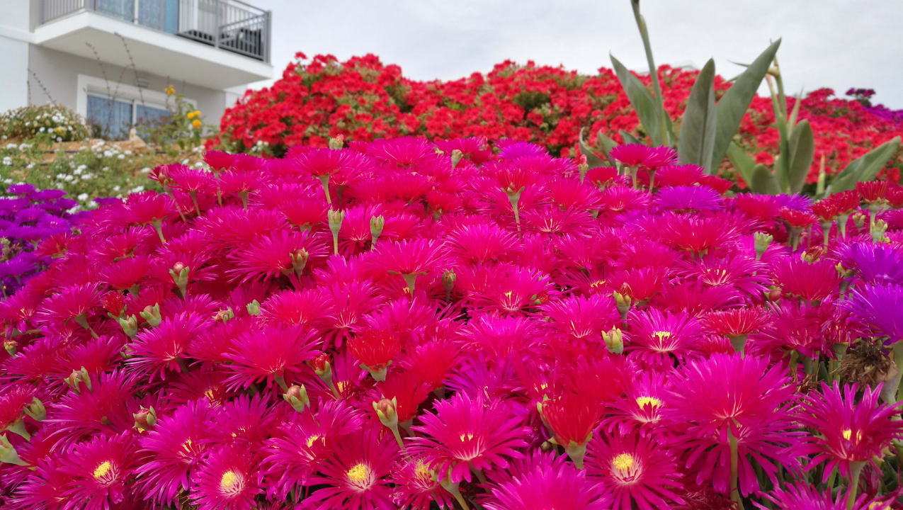 Gartenanlage Anemos Luxury Grand Resort