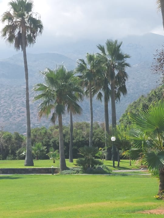 Gartenanlage Calimera Sirens Beach