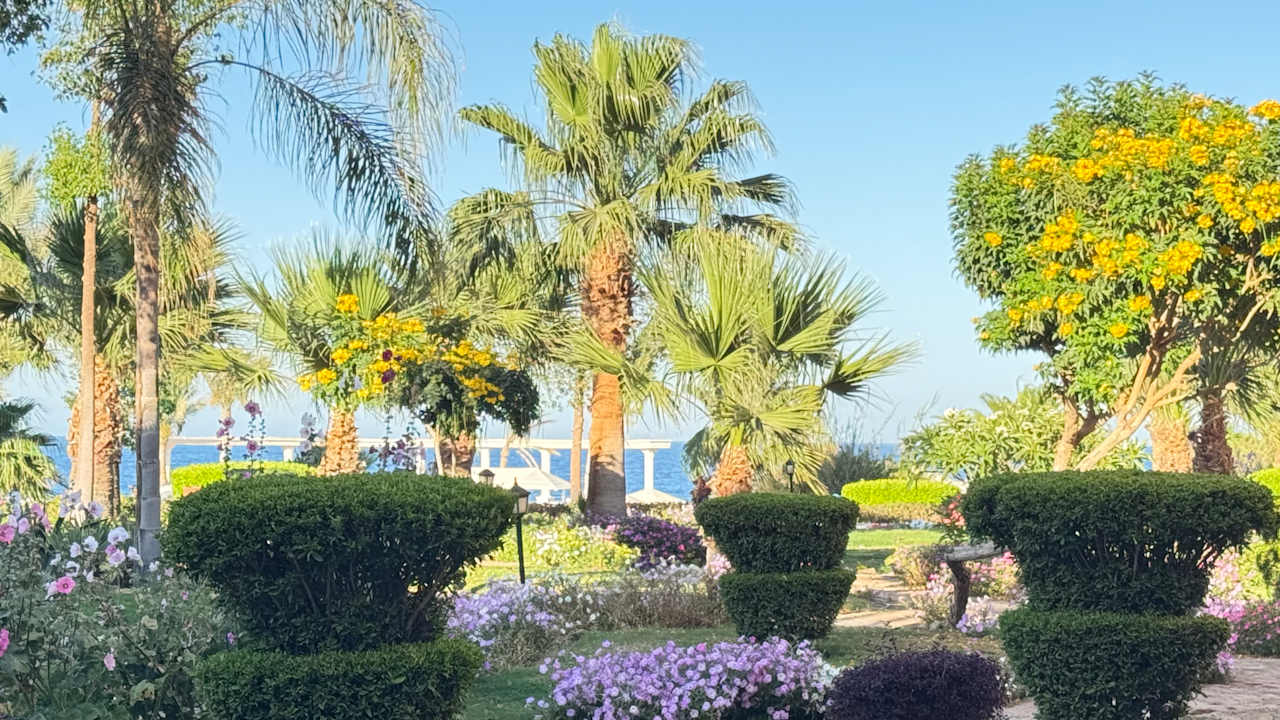 Gartenanlage Three Corners Equinox Beach Resort