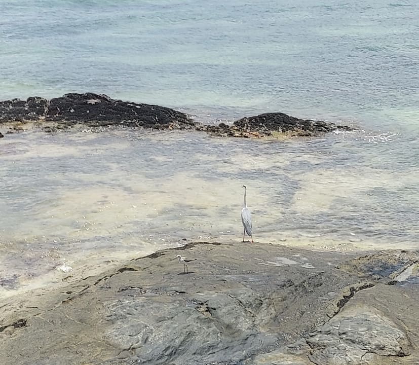 Außenansicht Fisherman's Cove Resort  (Im Umbau/Renovierung)