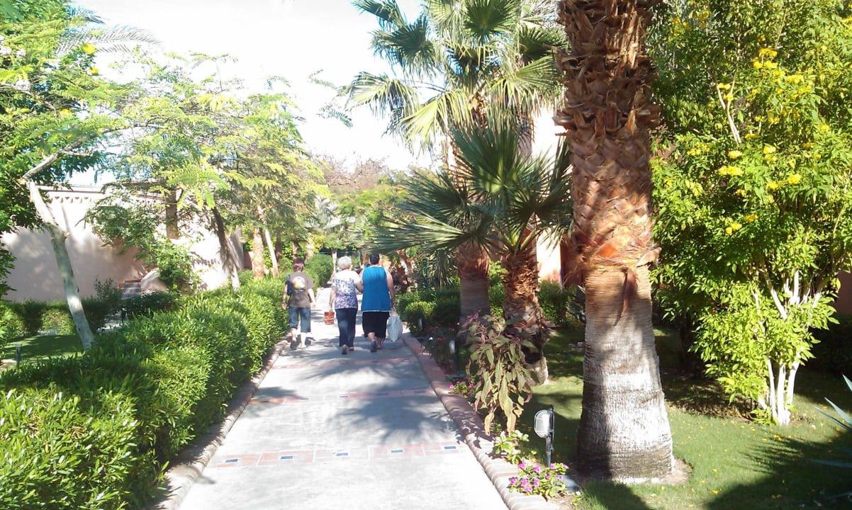 Garten Jaz Makadi Oasis Resort