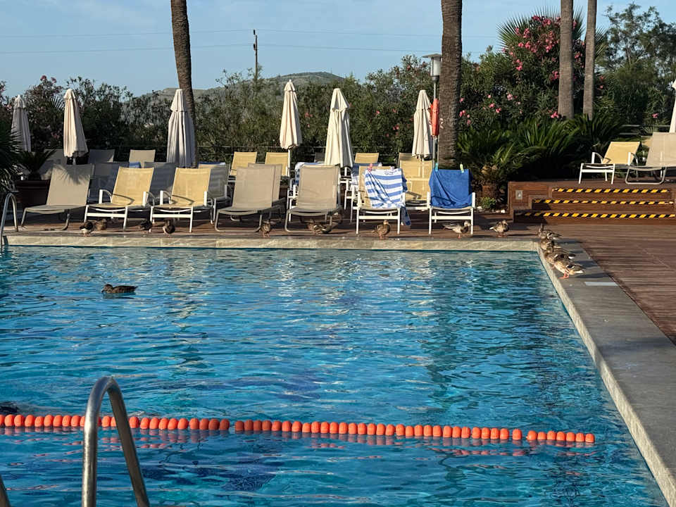 Pool PortBlue Club Pollentia Resort & Spa