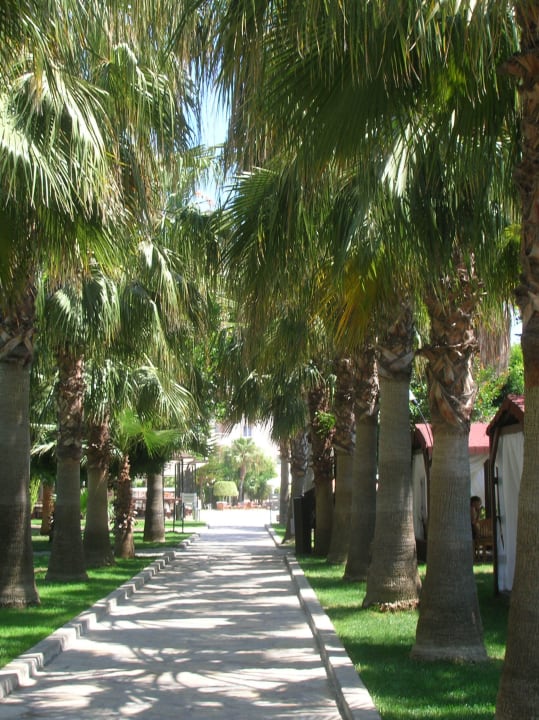 Weg vom Strand Hotel Royal Garden Beach