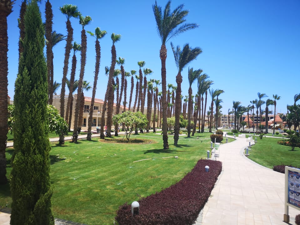 Gartenanlage Beach Albatros Resort
