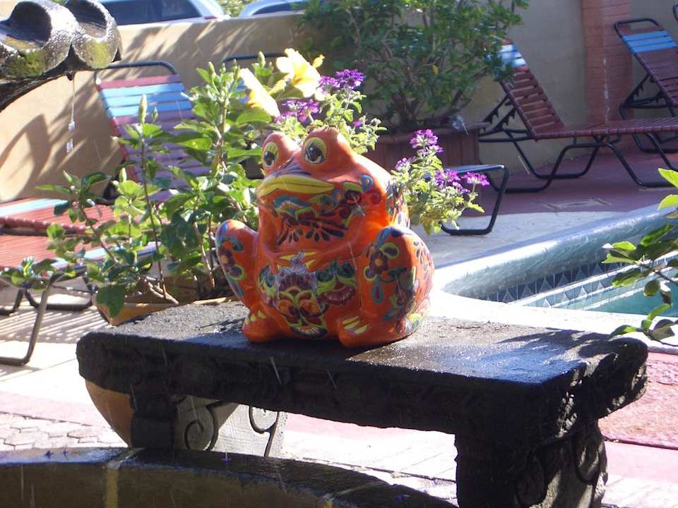 Frosch Hotel Tropi Rock Resort