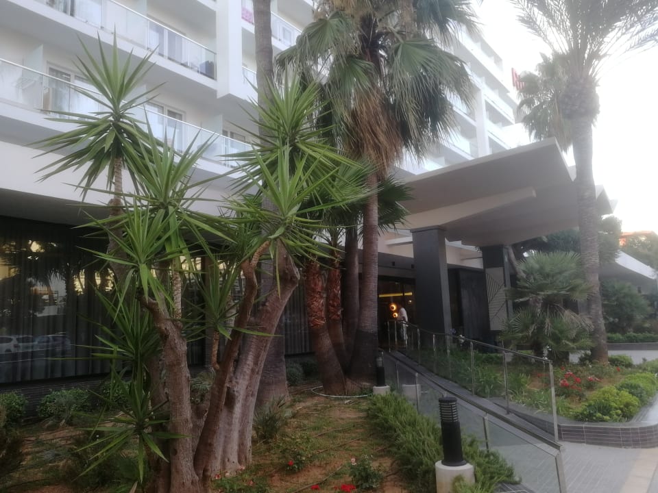Außenansicht Hotel Riu Festival