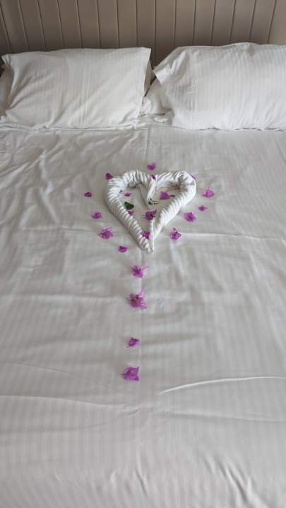 Zimmer Royal Wings Hotel