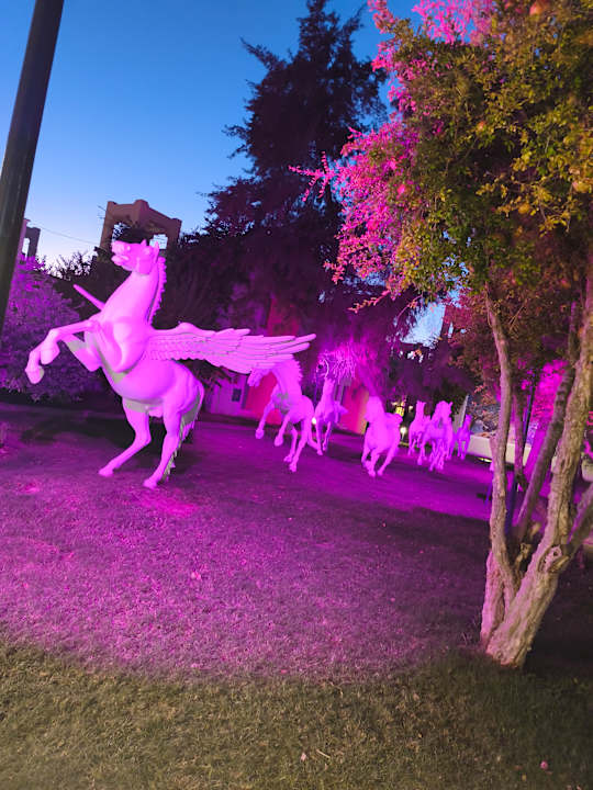 Gartenanlage VONRESORT Golden Beach