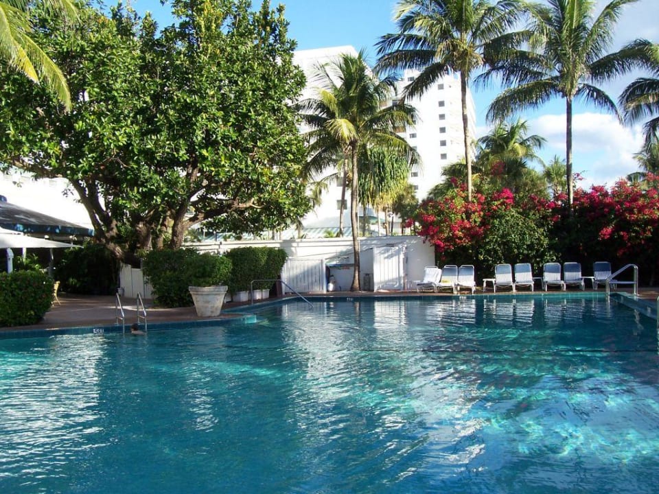 Pool The Palms Hotel & Spa