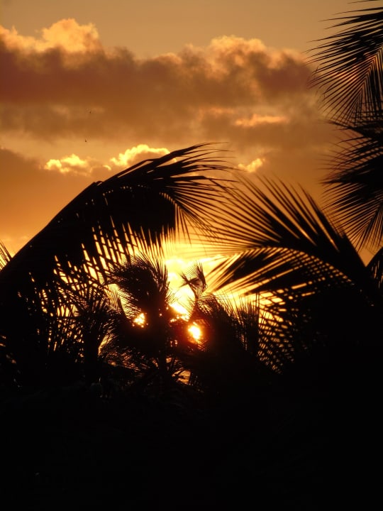 Sonnenuntergang Hotel Riu Palace Macao - Adults only